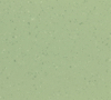 Crisp Apple 8653
